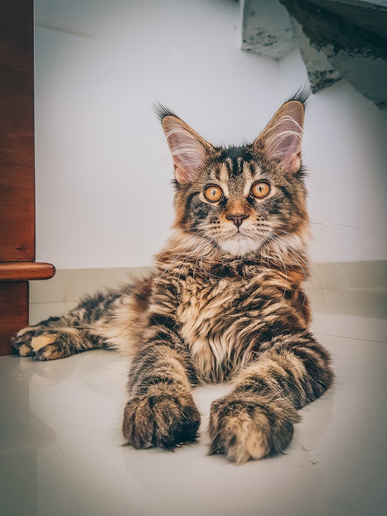 Astrid