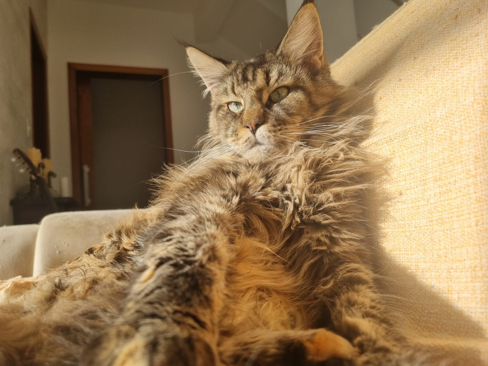 Giulietta